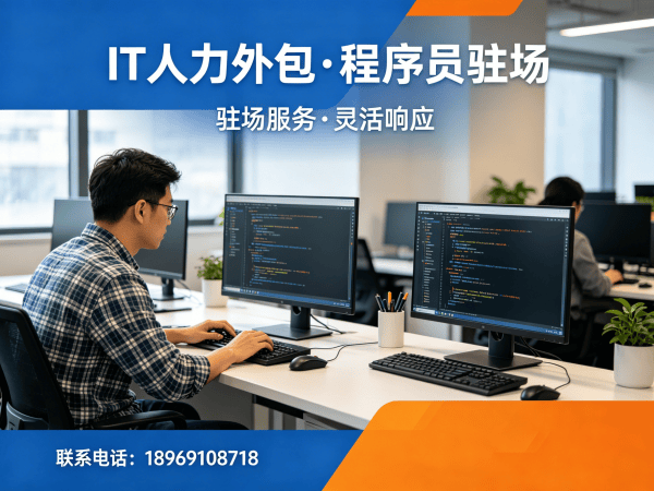 合肥IT人力外包解决方案：破解企业技术人才困境的高效路径
