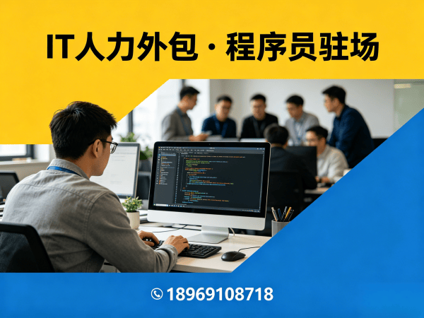 杭州程序员驻场开发解决方案：解决企业IT人力外包痛点的高效途径